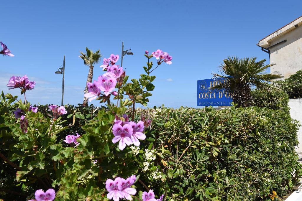 Hotel Costa D'Oro Santa Maria di Castellabate Exterior foto